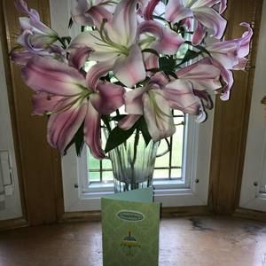 Meet your Posher, Lara